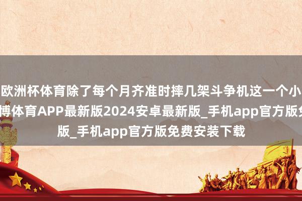 欧洲杯体育除了每个月齐准时摔几架斗争机这一个小小的遗憾-世博体育APP最新版2024安卓最新版_手机app官方版免费安装下载