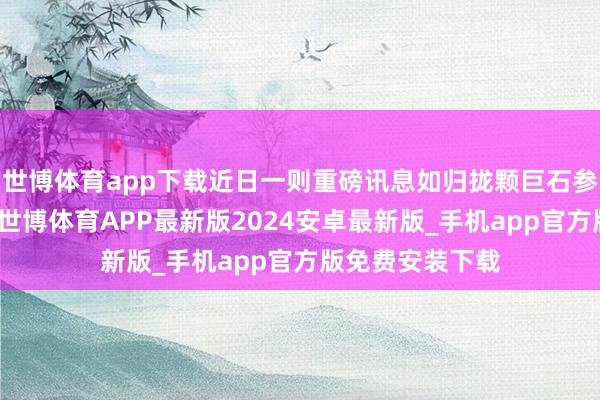 世博体育app下载近日一则重磅讯息如归拢颗巨石参加安逸的湖面-世博体育APP最新版2024安卓最新版_手机app官方版免费安装下载